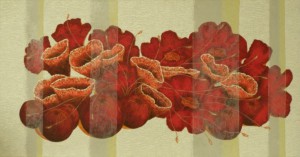 SN42-80X40