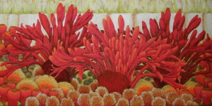 SN55-100X50