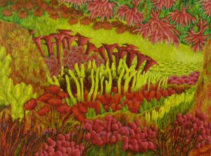 SN54-81X60