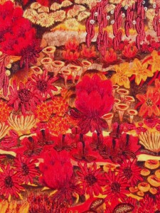 SN24-27X35